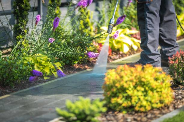 Best Sidewalk and Walkway Cleaning  in Highland, CA